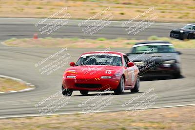 media/May-04-2025-Lucky Dog Racing (Sun) [[21629467aa]]/Turn 4 (10-1045am)/Turn 3/